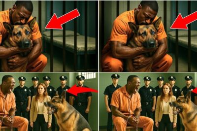 His Last Wish Before Execution To See His Dog, But What Happened Changed Everything…