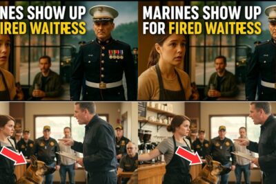 Fired for Kindness: How One Café Manager’s Stand for a Veteran Ignited a National Movement of Honor