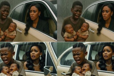 The Billionaire’s Secret: A Widow’s Discovery on a Rainy Day Unearths a Hidden Family and a Shocking Betrayal