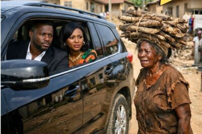 Billionaire Was Taking His Fiancée Home Until He Saw His Mother Carrying Firewoods And Denied Her…