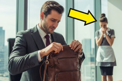 A MILLIONAIRE SAW HIS EMPLOYEE’S HANDBAG AND WHAT IT CONTAINED MADE HIM FALL IN LOVE