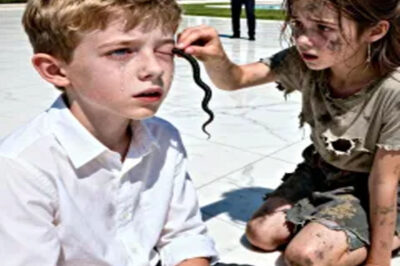 The MILLIONAIRE’S SON Was BLIND… until a LITTLE GIRL pulled something from his eyes that no one could imagine…