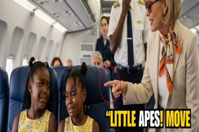 White Woman Told Black Twins “Move To The Back” — Flight Captain Announces He’s Their Dad