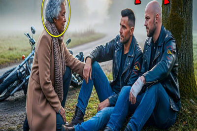 Elderly Lady Stumbles Upon 2 Injured Hell’s Angels, Her Reaction Stuns the Whole Town