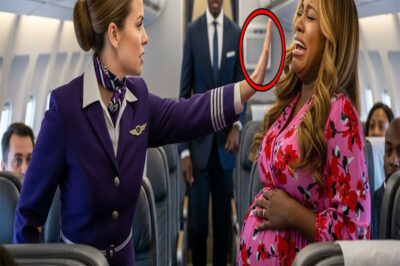 Flight Attendant Slaps a Black Pregnant Woman, Not Knowing That Her Husband Owns the Airline!