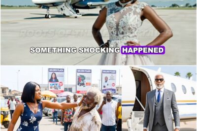 She Slapped the Ragged Man Outside the Mall and Laughed—Until He Walked Off a Private Jet at Her Engagement, Introduced as the Billionaire Investor… and Demanded Her Apology Onstage Tonight